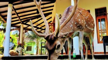 Voorkant van accommodatie