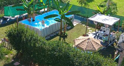 At 9 minutes from Milan Malpensa I rent bed with breakfast, pets allowed