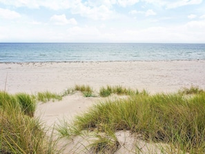 Une plage avec des dunes de sable et de l’herbe au premier plan.