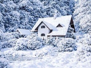 Snow, Winter, Branch, White, House, Cottage, Home, Twig, Freezing, Roof