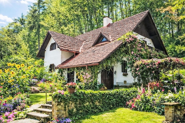 Bâtiment, Maison, Toit, Domicile, Chalet, Arbuste, Jardin, Architecture, Ferme