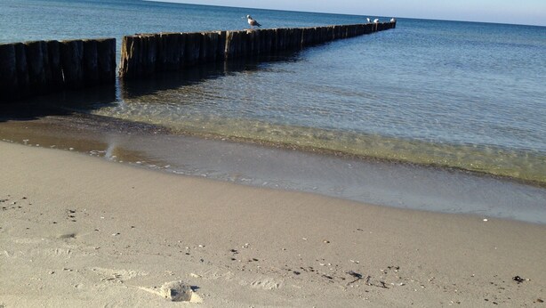 Playa