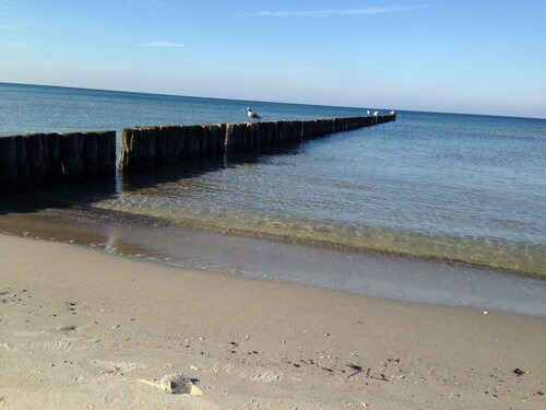 Dünenbungalow I - Holiday bungalow for 4 persons, 700m to the beach in Graal-Müritz