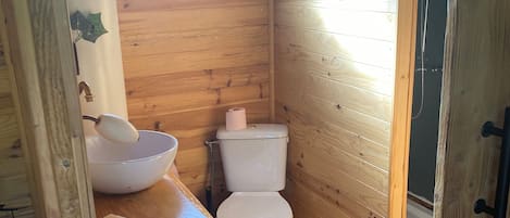 ヘアドライヤー、石鹸、トイレットペーパー