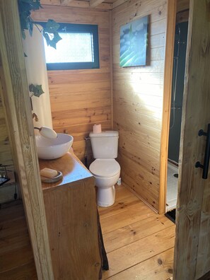 Hair dryer, soap, toilet paper