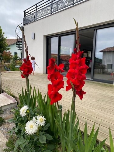 Charming villa near the beach