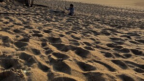 Une plage de sable où une personne pêche, un ciel dégagé et le soleil se couche sur l’océan.
