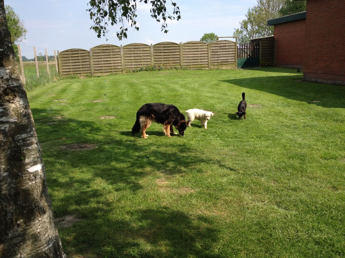 Bild für Gastgeberprofil