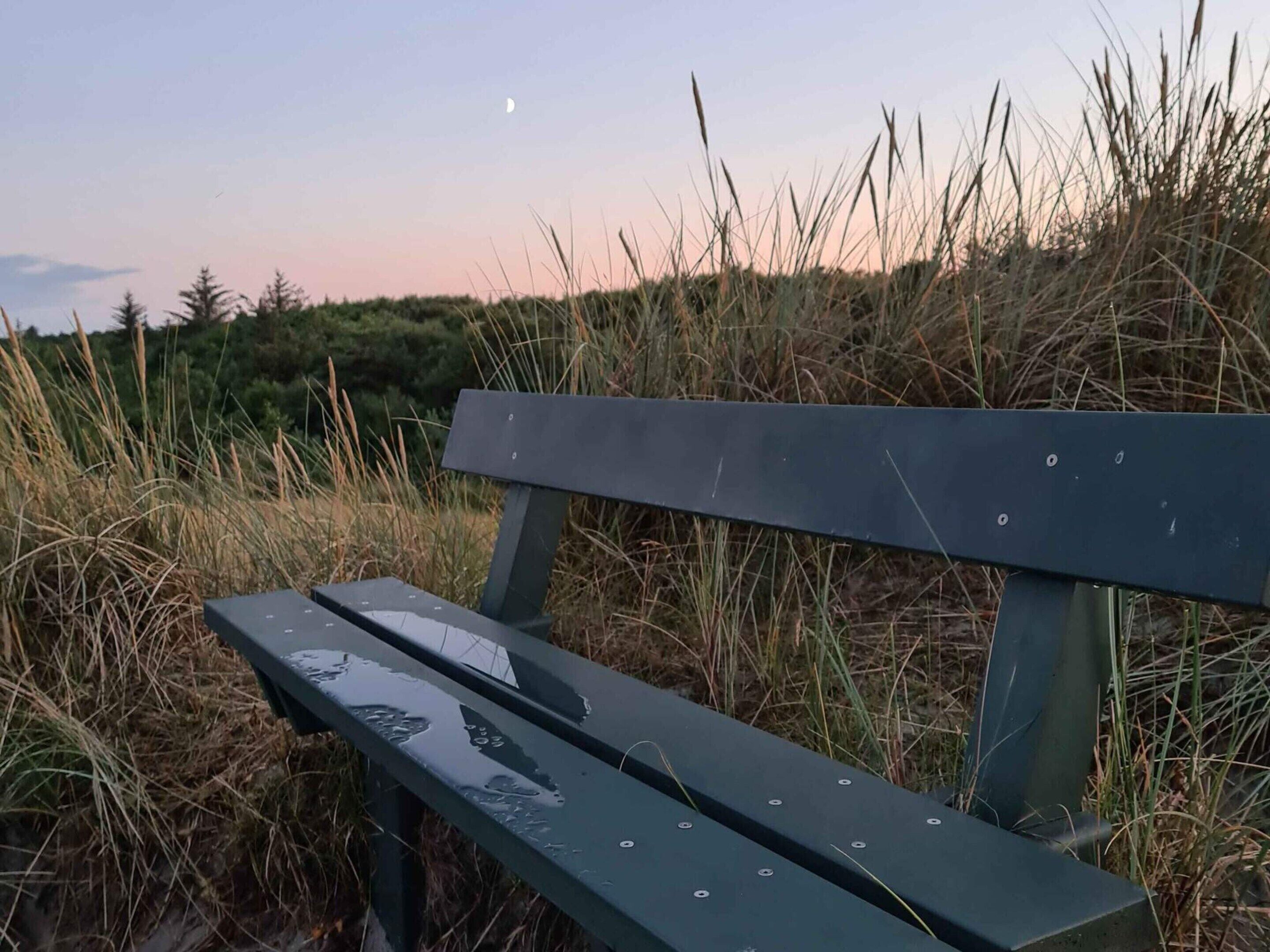 House | Property grounds