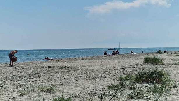 A beach with people sunbathing and swimming.