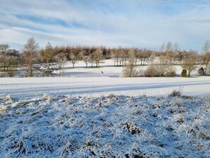 View from property - 6 Person Holiday Home in Roslev (Roslev)