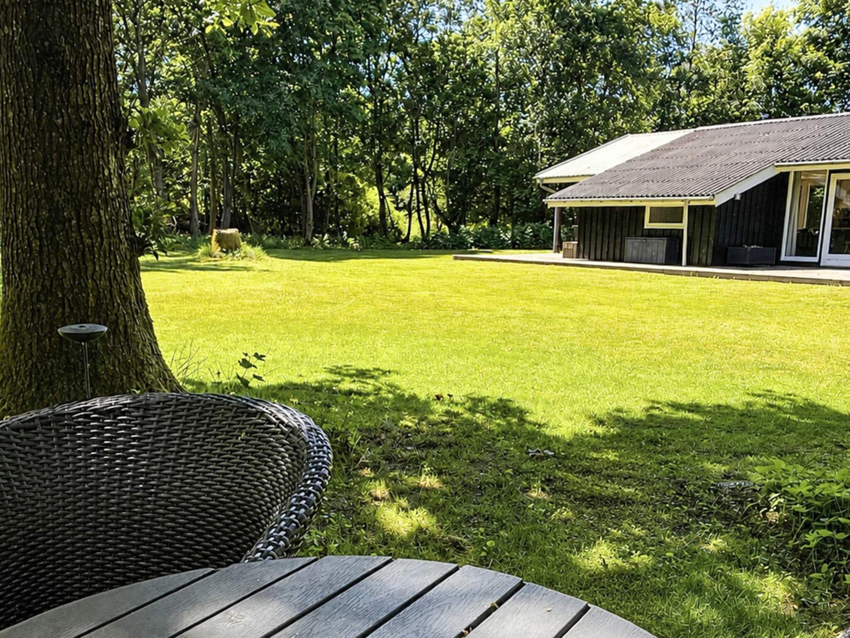 A grassy yard with a building in the background, a tree, and a wicker chair.