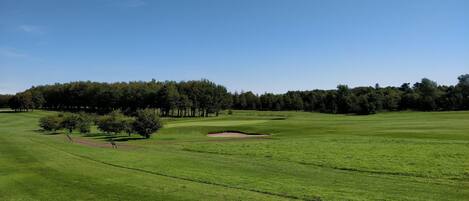 House | Pemandangan dari hartanah