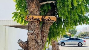 Un árbol con un cartel que dice "Sukken House".