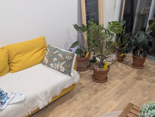 Seamless Comfort: Guest Room in Shared Modern Apartment
