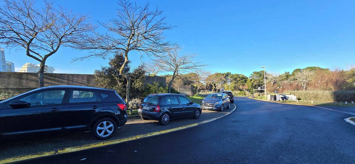 Imagen de perfil del propietario o de la propietaria