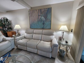 Smart TV, books - Vacation in the picturesque, waterfront Isla Del Sol community of Bahia (St. Petersburg)