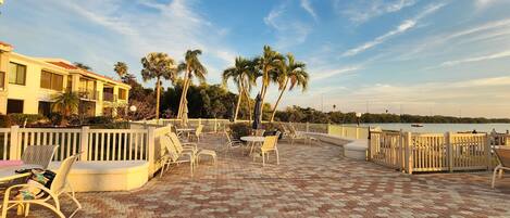 テラス / パティオ