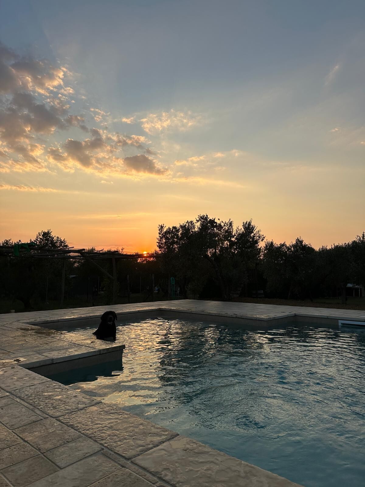 Piscine extérieure