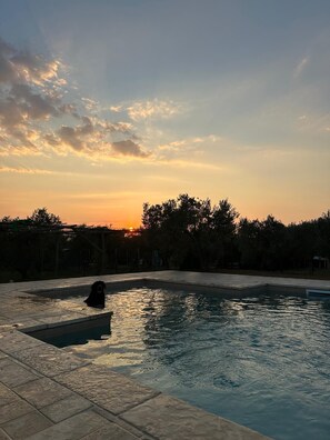 Outdoor pool - Tuscany Cottage Paratino 53/A-Charming Studio surrounded by Tuscan olive trees (Cecina)