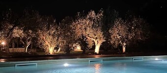 Tuscany Cottage Paratino 53/A-Charming Studio surrounded by Tuscan olive trees