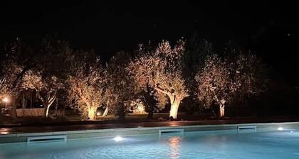 Tuscany Cottage Paratino 53/A-Charming Studio surrounded by Tuscan olive trees
