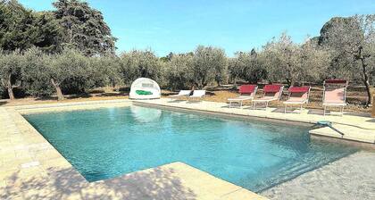 Tuscany Cottage Paratino 53/A-Charming Studio surrounded by Tuscan olive trees
