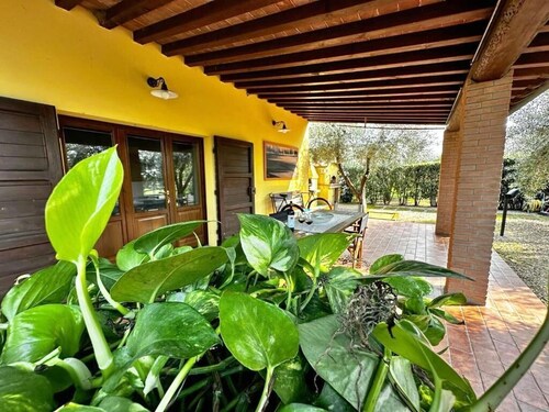 Tuscany Cottage Paratino 53/A-Charming Studio surrounded by Tuscan olive trees