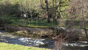 Un fiume che scorre attraverso una zona erbosa, con un ponte di pietra e alberi.