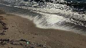 Uma praia com o sol refletindo na água, céu claro e terra ao longe.