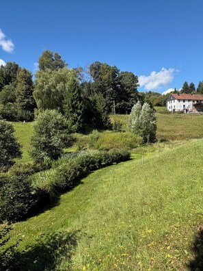 Property grounds - Landhaus Sommerberg - pure forest air, recreation nature apartment II Thuringian Forest (Schleusingen)