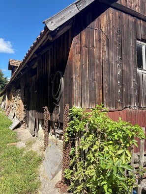 Detall de l'exterior