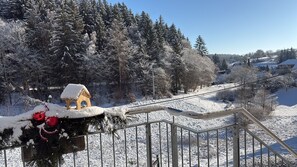 Property grounds - Landhaus Sommerberg - pure forest air, recreation nature apartment II Thuringian Forest (Schleusingen)