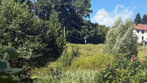Luokittelematon kuva, 5 kautta 26, painike