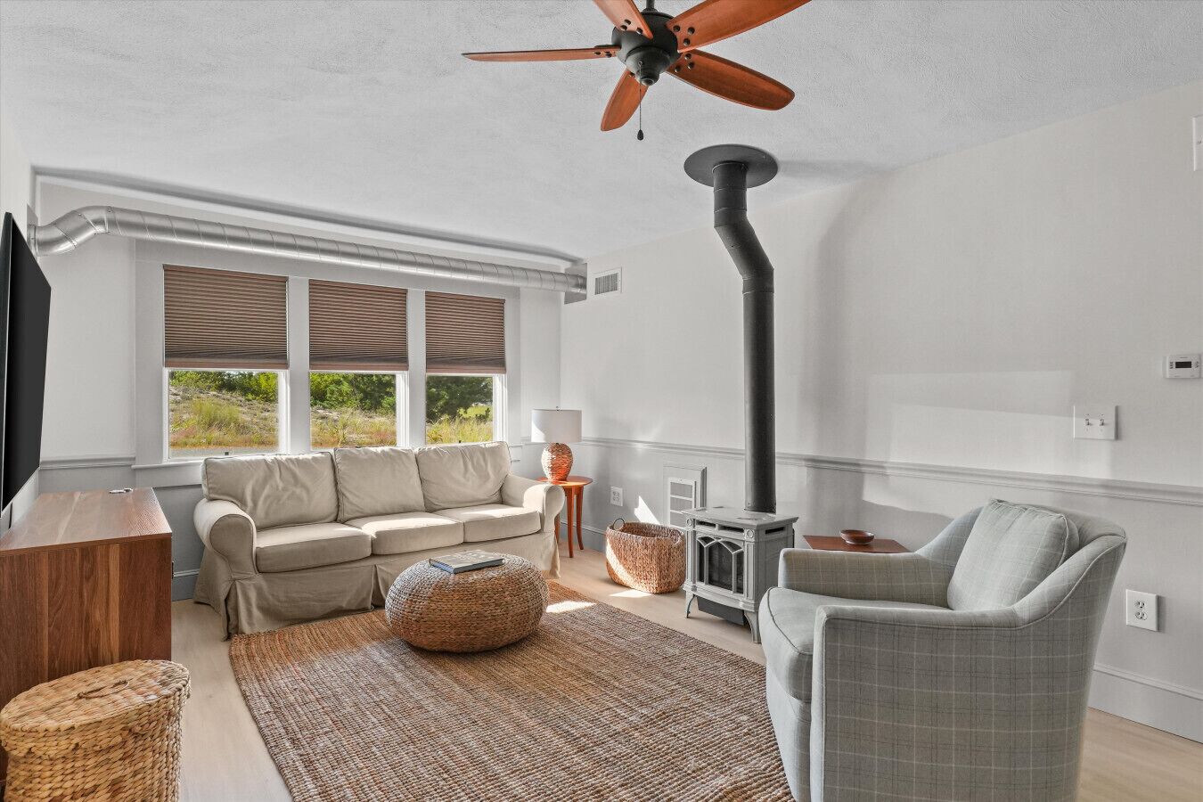 Televisión, chimenea, libros