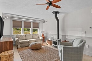 Televisión, chimenea, libros