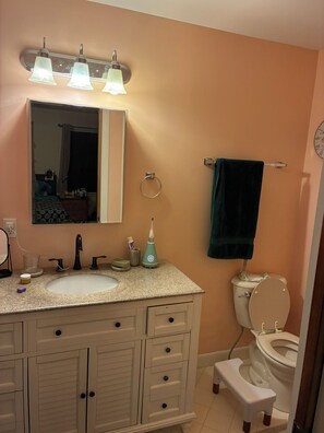 Shower, hair dryer, bidet, towels - Spacious 5-bedroom house in serene Montclair, close to NYC and World Cup arena (Montclair)