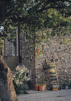 Property grounds - Charming residence, Campu di l'altru mondu apartment (San-Giuliano)