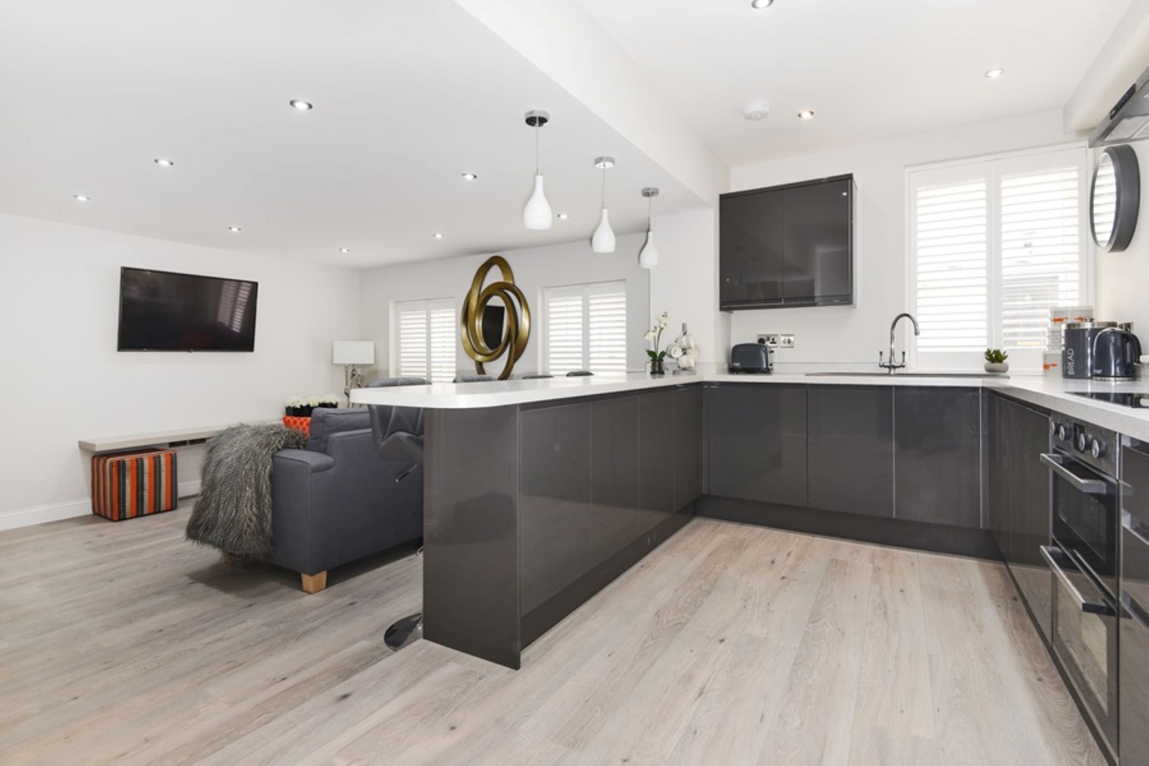 Fridge, oven, dishwasher, cookware/dishes/utensils