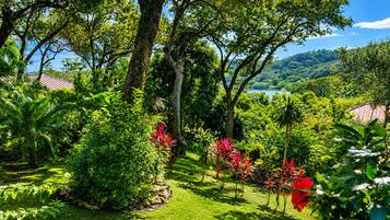 A lush garden with various plants and trees, a clear sky, and a distant view of a lake and hills.