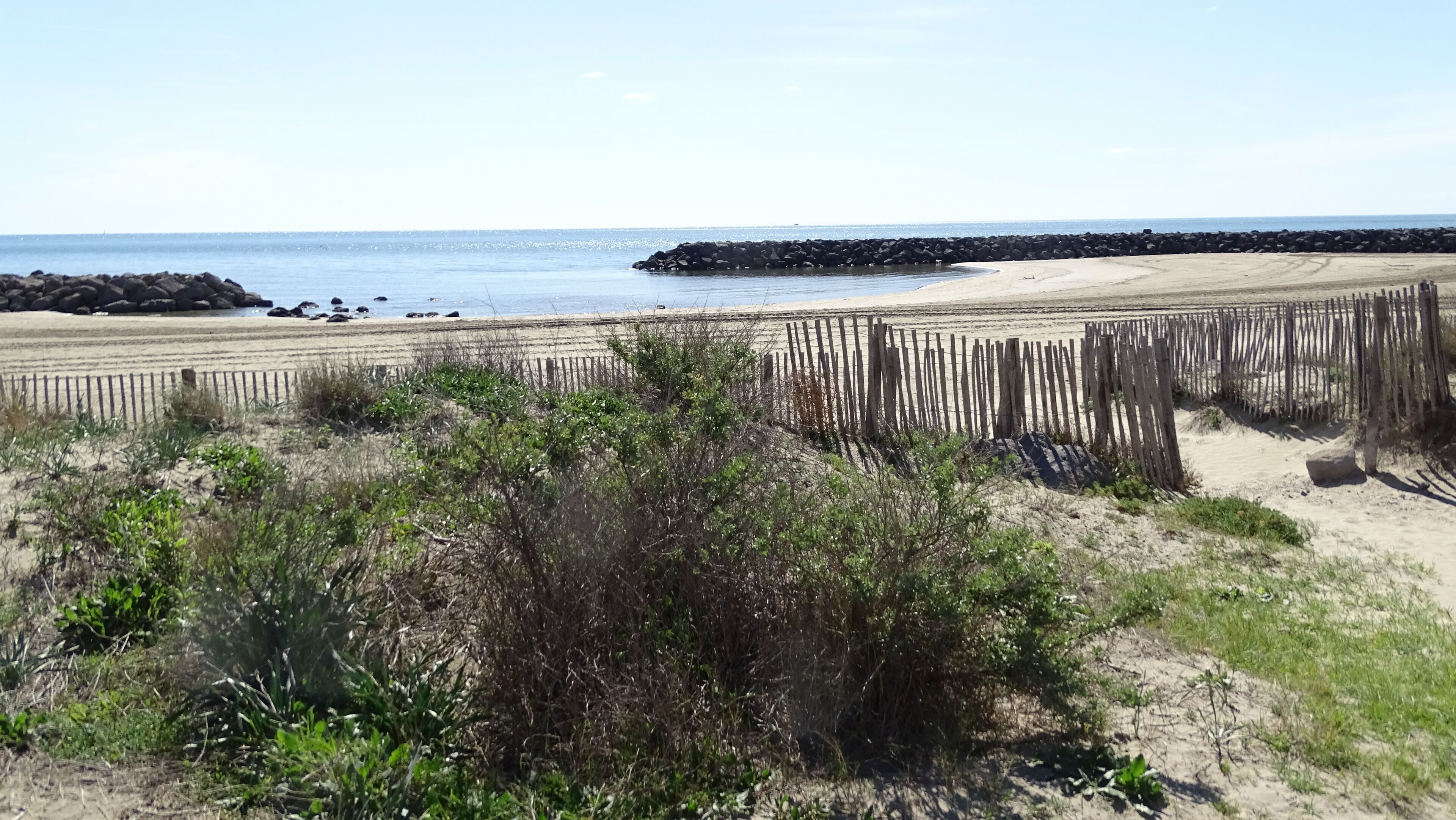 Strand