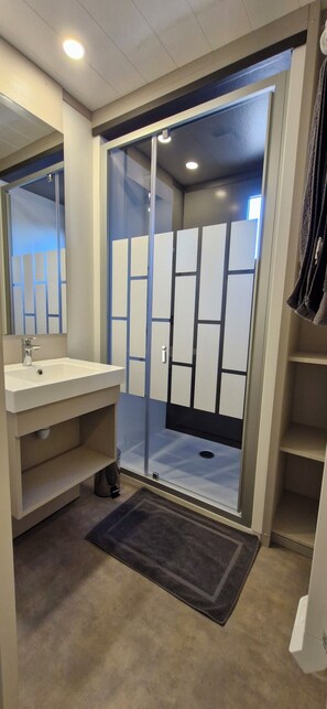 Shower, hair dryer, towels
