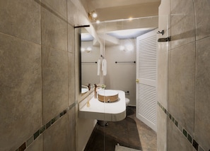 Hair dryer, towels, soap, toilet paper
