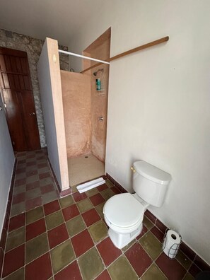 Shower, hair dryer, towels, soap - Cozy 1-bedroom house in fantastic location in El Centro, Merida! (Merida)