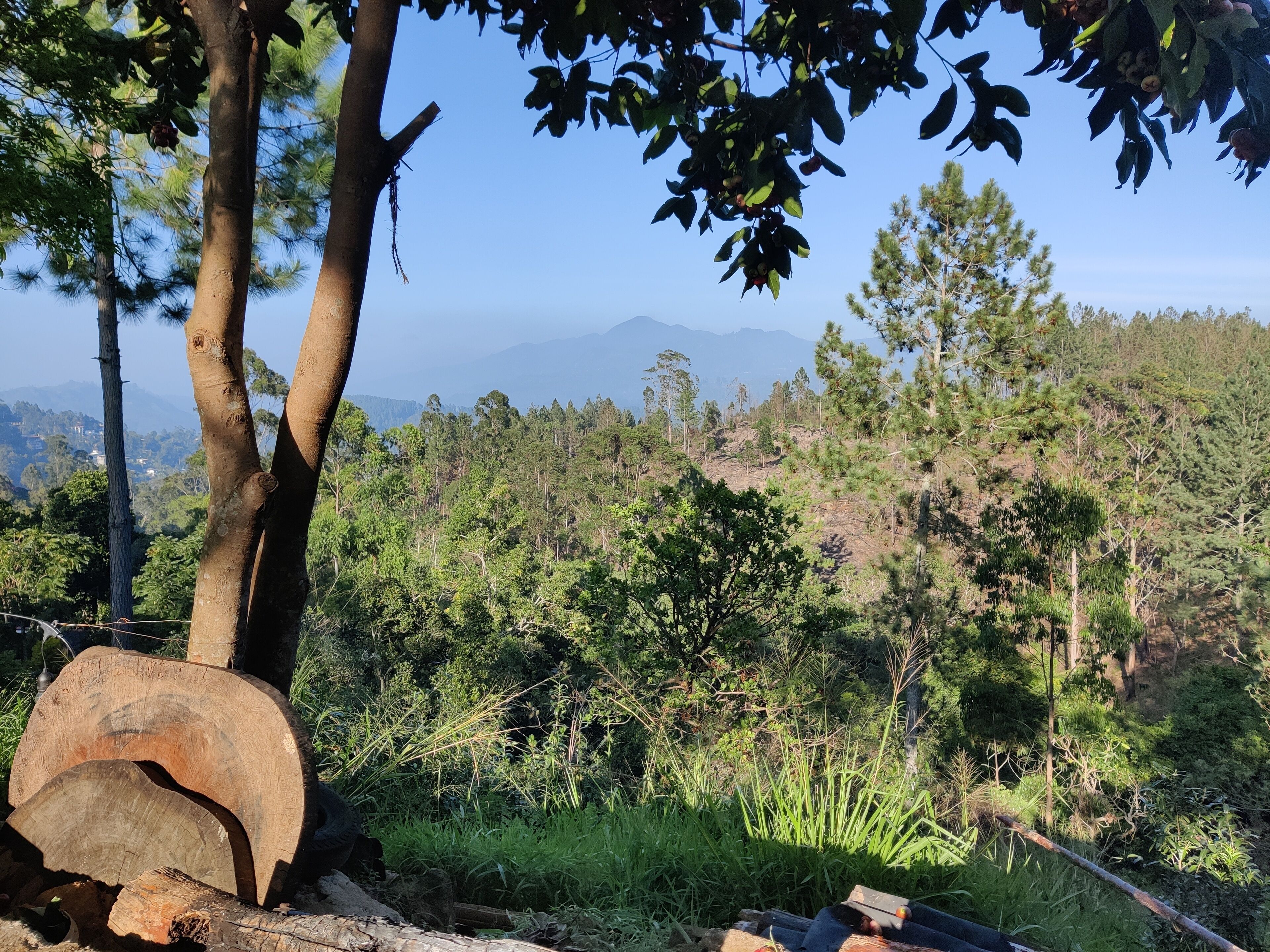 Bahagian luar