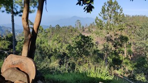 A natural landscape with trees, a log, and a distant mountain range. - Velora Hill Ella (Ella)