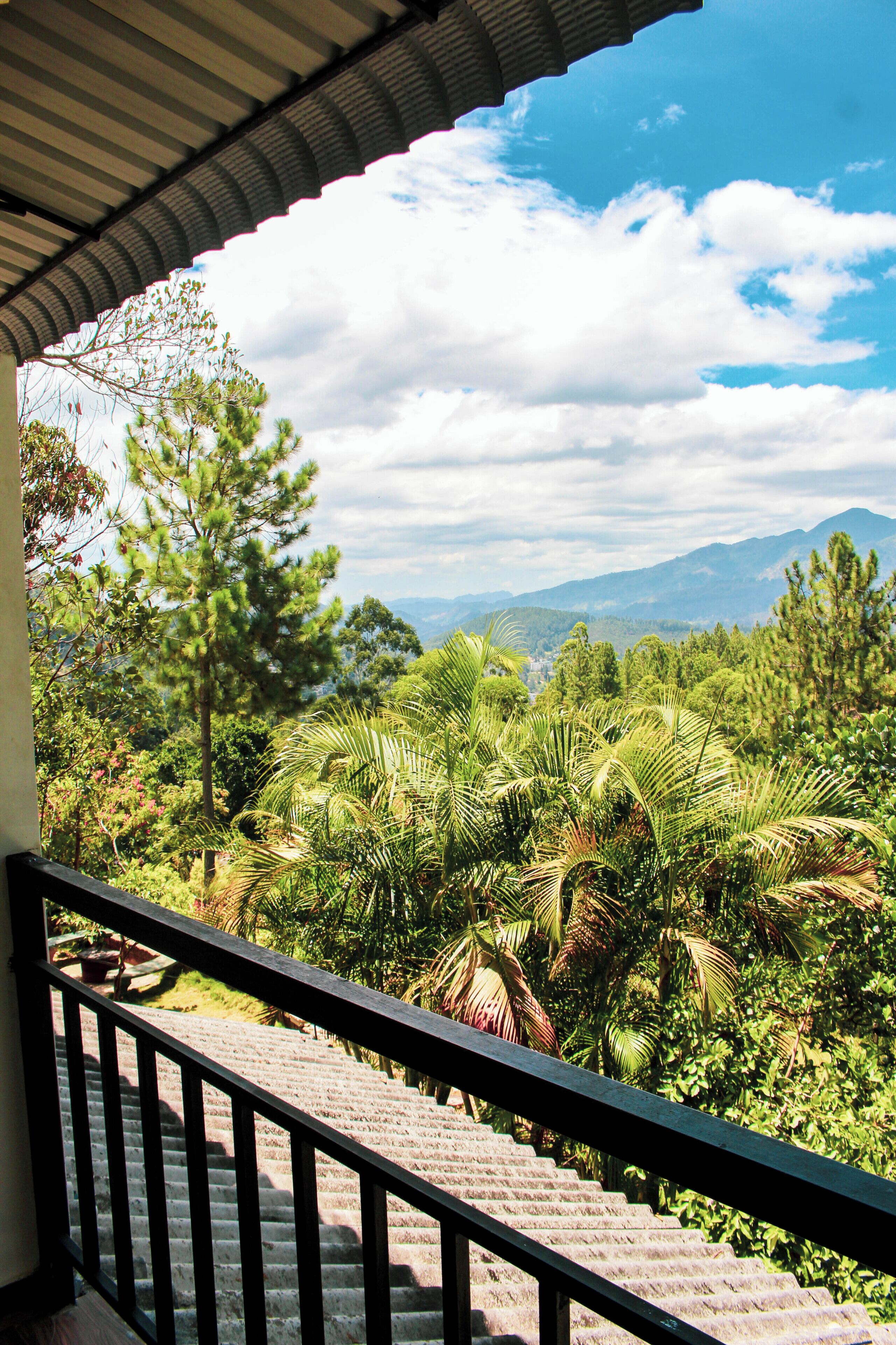 Deluxe Double Room, Hill View | Terrace/patio