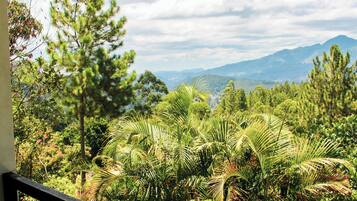 Deluxe Double Room, Hill View | Terrace/patio