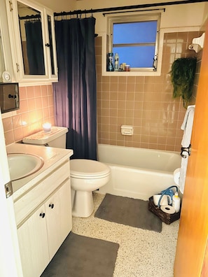 Hair dryer, towels, soap, toilet paper