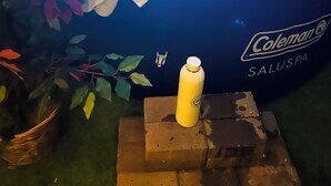 A Coleman SALUSPA hot tub surrounded by artificial foliage and a yellow bottle. - Beautiful Lakefront house with private dock, boathouse, Hot tub and Game-room (Sebring)